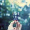 Orcas、Benoît Pioulard、Rafael Anton Irisarri - Pallor Cedes
