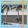 Loco Spirit - Aloha Hawaii Landscape