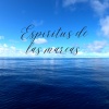 Coelo Music - Olas de Melodía