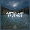 Lluvia del Bosque - Lluvia con Truenos: Sonidos del Bosque (01)