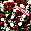 Brother - Spinning