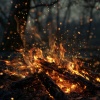Meditation and Stress Relief Therapy、ASMR Deluxe、Regain Peace Of Mind - Meditative Flames for Focused Calm
