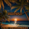 Lemongrass、Roberto Bronco - Under The Moonlight