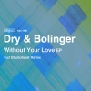 Dry & Bolinger - Without Your Love (Studioheist Dub)