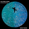 Calypse、Powl - Shout Down