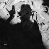 Whake - Unknown