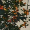 不静音双子 - ESCAPE