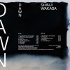 Shinji Wakasa - Gradation of Dawn