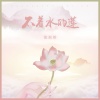 流浪娇 - 不着水的莲
