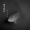 南宫煌琰 - 锦书难托
