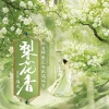 陶九 - 梨花香 (伴奏)