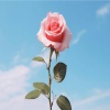 Uobh、Biinjo、eurei、YungDrape - Finally Happy (feat. addy, Biinjo, eurei & YungDrape)(Explicit)