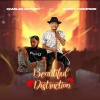 charles anthony、Quincy Thompson - Beautiful Distraction
