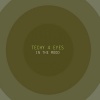 Techy 4 Eyes - In the mood (Radio edit)