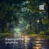 Tranquil Noise、Rain Drops Orchestra、River Noise - Soothing Rain Sound