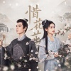 灰雪灰 - 云绿
