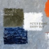 Barry Guy、Peter Evans - Red Green