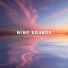 Zen Sounds、Nature Sound Collection、Natural Sounds Selections - Ambient Wind