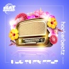 Hackerbeatz - How They Felt