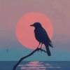 Musica per Leggere、meditacou musica ambiente、Concentrazione e Attenzione - Ambient Birds Sounds, Pt. 2080 (Ambient Soundscapes with Birds Sounds to Relax)
