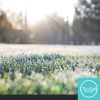 Tri-Calm Relaxation - Good Morning Vibes Track 1