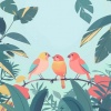 Complete Spa Music、Bath Spa Relaxing Music Zone、Nature Spa - Ambient Birds Sounds, Pt. 2460 (Ambient Soundscapes with Birds Sounds to Relax)