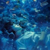 Sleepy Skies、Ocean Currents、Tech Guru - Serene Ocean's Dream
