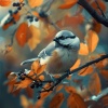 Sleep Music Guys、Feathered Tranquility、Elísio - Lullabies in Feathery Frequencies