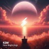 KSW - New Beginnings Pt. 1