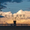 泪流决堤 - 见一面 我带花