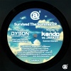 Dy5on、Danielle Hollobaugh、JAKAZiD《Your Love Survivor (JAKAZiD Remix)》[MP3/LRC]