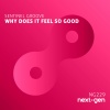Sentinel Groove - Why Does It Feel So Good