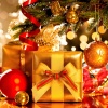 陈爱琳 - 第一首圣诞颂 The First Noel