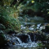 Relaxation Meditation and Spa、Island Nature Sounds、Calming Noises - Spa Waters and Forest Conversations