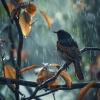 Sound of the Wilderness、Sounds Of Nature : Thunderstorm、Morning Instrumentals - Peaceful Raindrops and Forest Birdsong