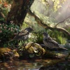 ASMR Sounds for Sleep、Natural Song、Mouni Mantra - Baby's Creek Lullaby and Gentle Birds