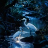 Natural Rain Sounds for Sleeping、Sounds Of The Earth、Planet Serenity - Soft Nature Retreat by the Creek