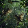 Music for Sleeping Deeply、Rain Recorders、Healthy Grounding - Sleep under Rain's Gentle Serenade