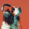 Especialistas en Música para Mascotas、Tecnología ambiental、Sonidos de calma - Balada Saltarina Para Mascotas
