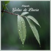 Sonido de lluvia、Ruído branco、Cascada de Lluvia - Sonidos de Gotas de LLuvia para Relajarse, Pt. 01