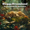 James Daniel、Music for Calming Dogs、Relaxing Music for Dogs《Doggy Dreamland Vol. 1》[MP3/LRC]