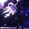 INNOUT、安雨、肖骏、MoonJellies - Voyage 2