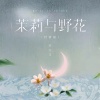 许文文 - 茉莉与野花 (抒情版)