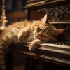 Guarida de música de gatos、HD lluvia y agua、Momentos tiernos - Viaje Sonoro Con Lluvia Para Bebé