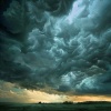 Música para plantas、Supertormenta、Música fácil de la mañana - Armonía Del Trueno Que Resuena Profundo