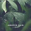Zen Sounds、Natural Sounds Selections、Nature Sound Collection - Amazon Sounds to Sleep to