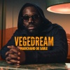 Vegedream、H Magnum《Tout casser (Explicit)》[MP3/LRC]