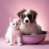 Música para dormir para mascotas、Consorte del tiempo de relajación、Música para cenar bien - Vibraciones Caninas