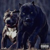 Aeden - HUTCHINSON (Explicit)