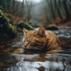 Gato Relajarse、Grabaciones de la madre naturaleza、La absorción - Gatos En Cascadas De Calma